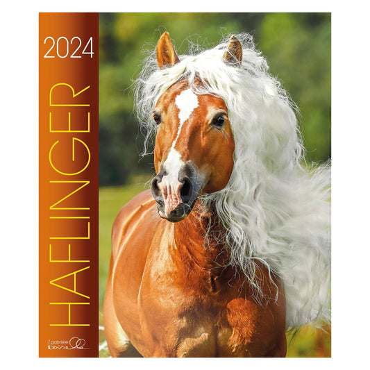Kalender Haflinger - Edition Boiselle