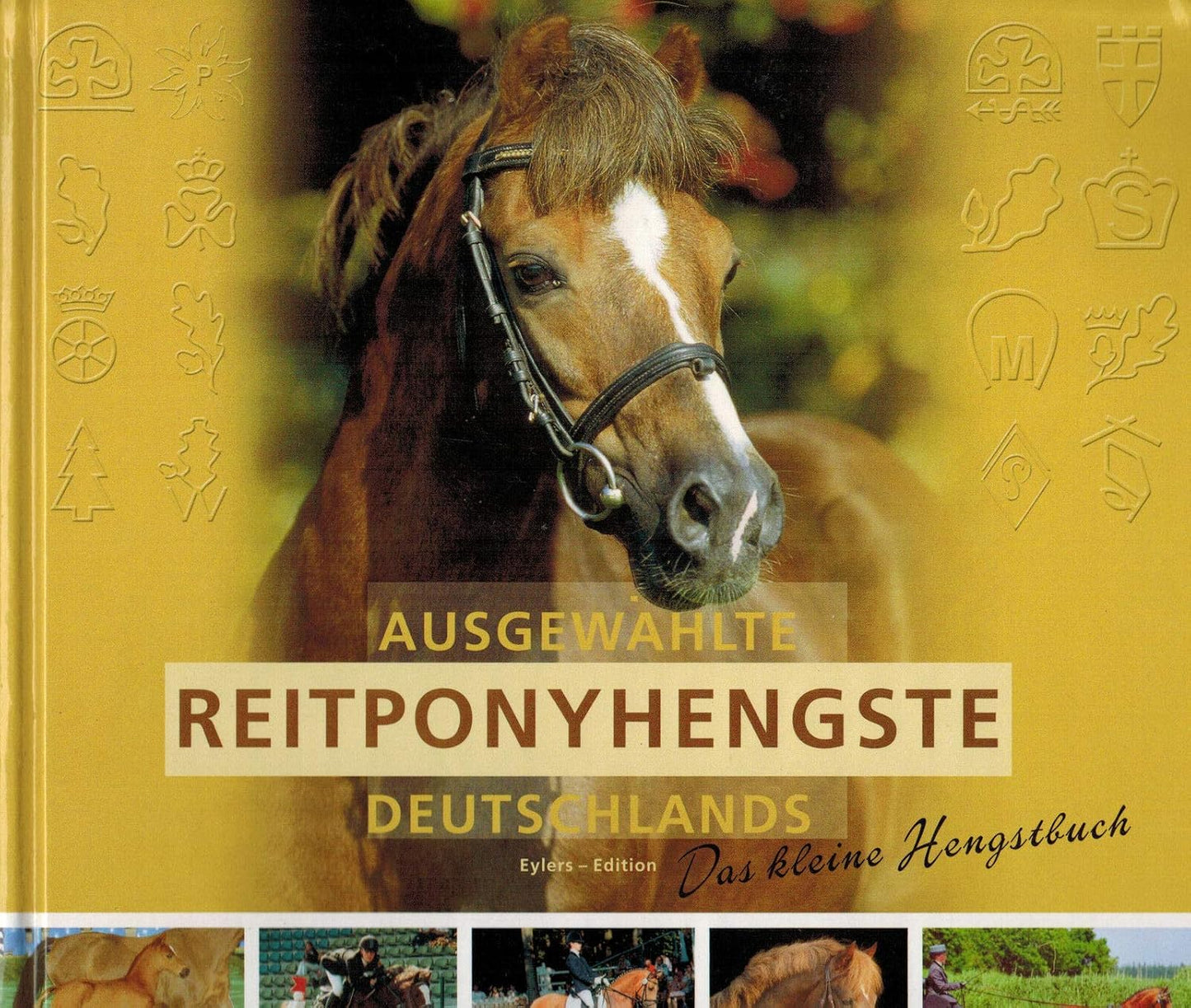 Ausgewählte Reitponyhengste Deutschlands