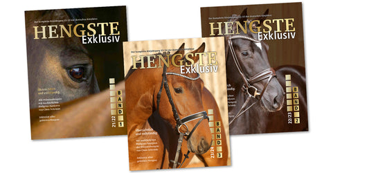 Hengste Exklusiv Band 1, 2 und 3