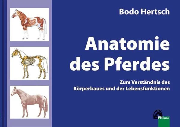 Anatomie des Pferdes