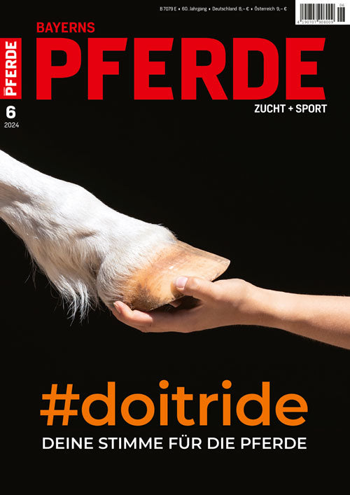 Bayerns Pferde Zucht + Sport Heft 06/2024
