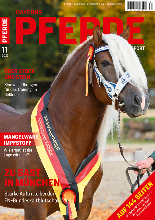Bayerns Pferde Zucht + Sport Heft 11/2022