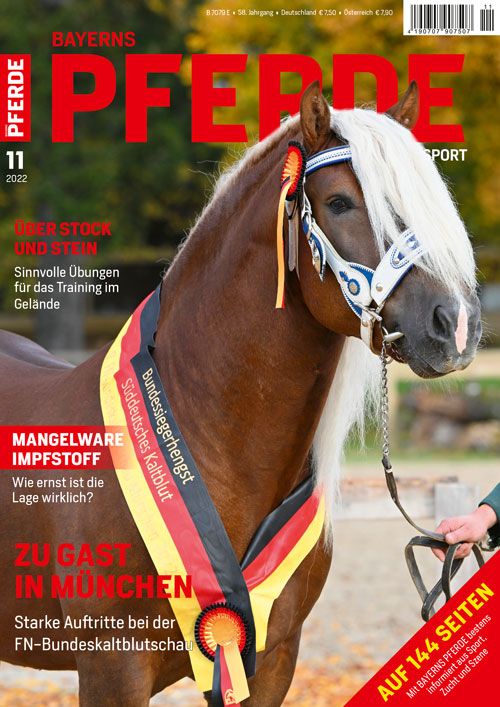Bayerns Pferde Zucht + Sport Heft 11/2022