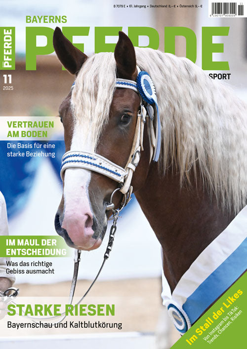 Bayerns Pferde Zucht + Sport Heft 11/2025