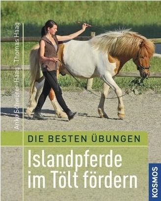 Beste Übungen: Islandpferde im Tölt fördern