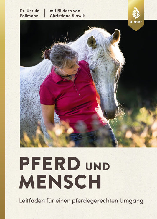 Pferd und Mensch