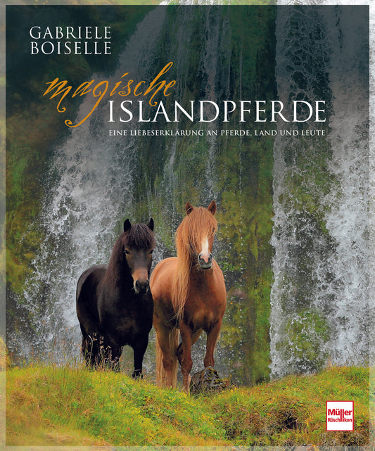 Magische Islandpferde