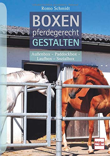 Boxen pferdegerecht gestalten