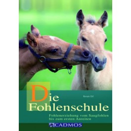 Die Fohlenschule