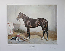 Ajdal (USA) by Nothern Dancer-Native Partner