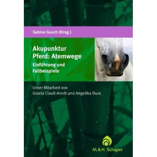 Akupunktur Pferd: Atemwege