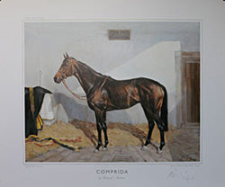 Comprida by Windwurf-Colatina