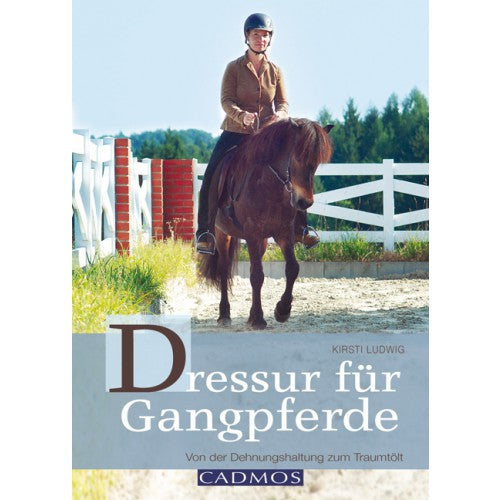 Dressur für Gangpferde