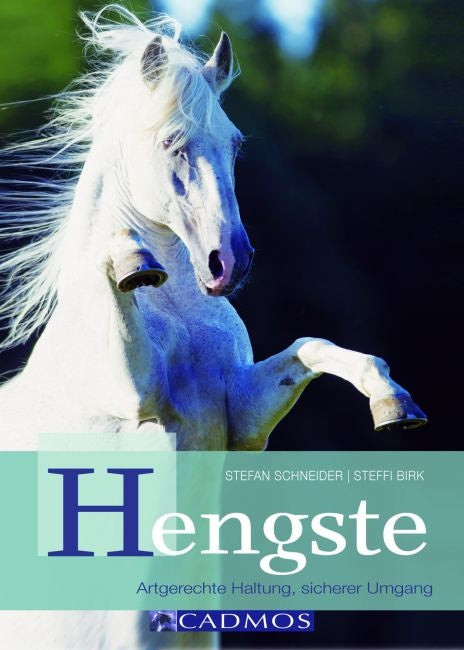 Hengste