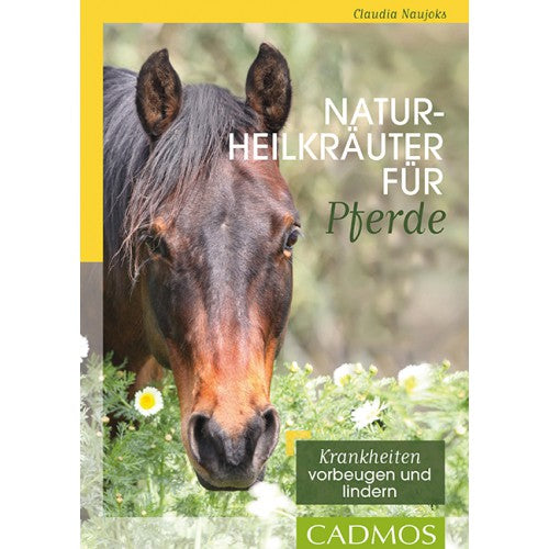 Naturheilkräuter für Pferde