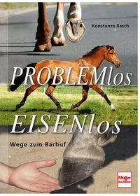 Problemlos Eisenlos