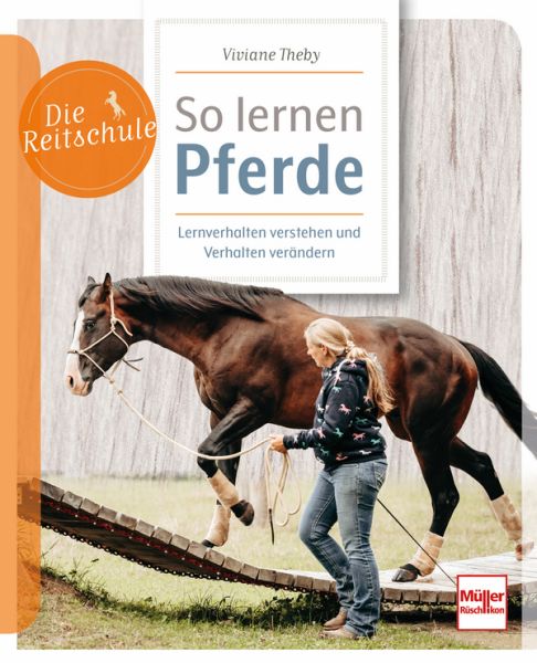 Die Reitschule - So lernen Pferde