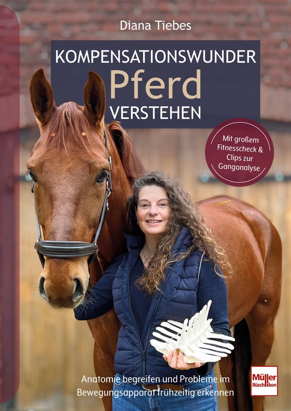 Kompensationswunder Pferd verstehen
