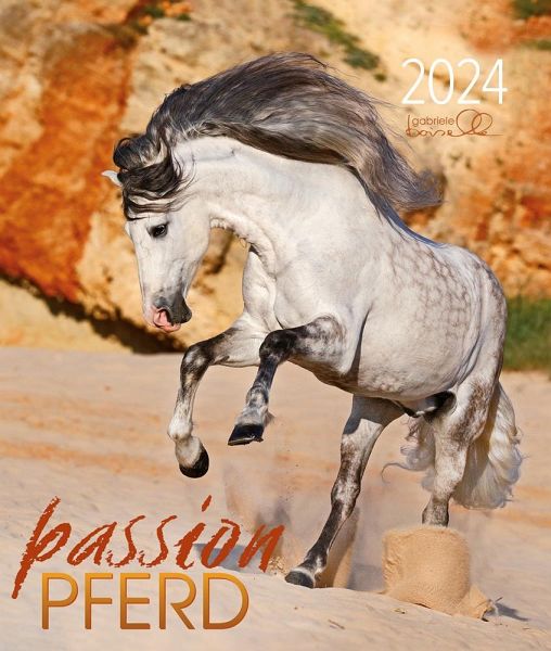 Passion Pferd 2024