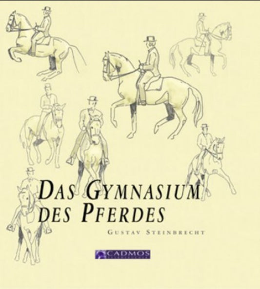 Das Gymnasium des Pferdes