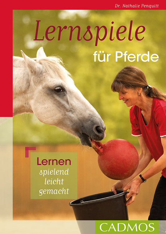 Lernspiele für Pferde