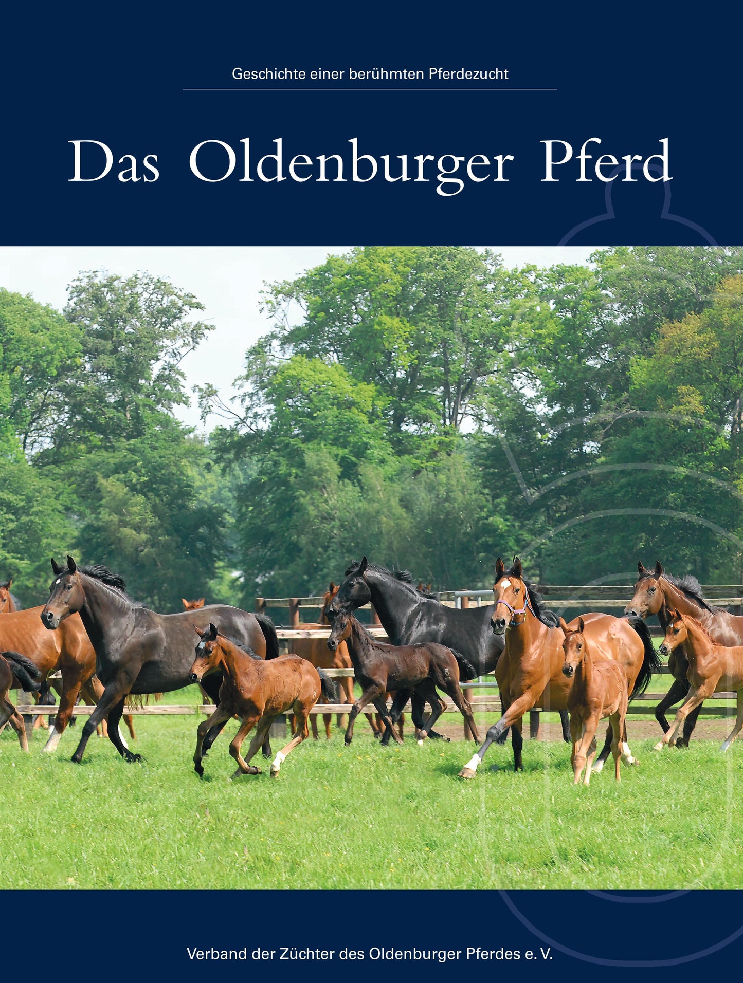 Das Oldenburger Pferd