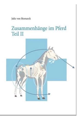 Zusammenhänge im Pferd Teil II