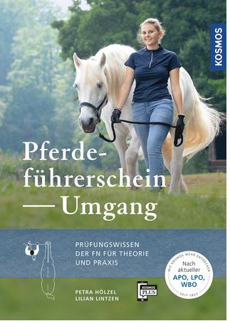 Pferdeführerschein Umgang