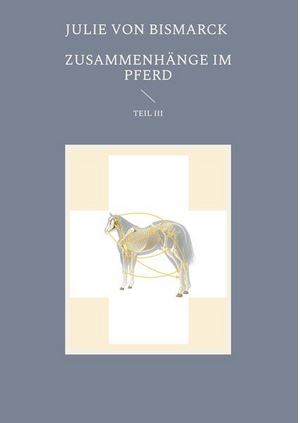 Zusammenhänge im Pferd III