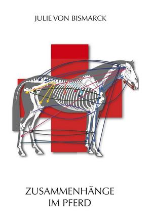 Zusammenhänge im Pferd Teil I