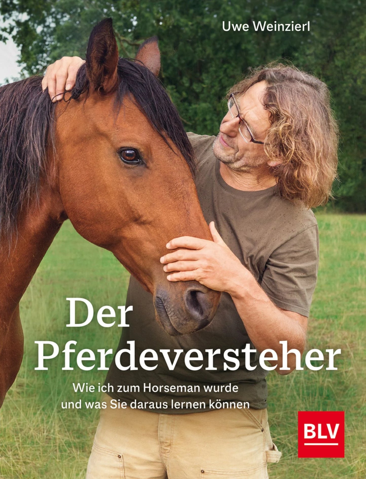 Der Pferdeversteher