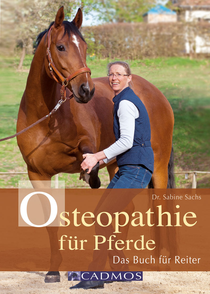 Osteopathie für Pferde