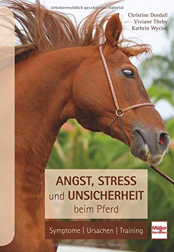 Angst, Stress und Unsicherheit beim Pferd