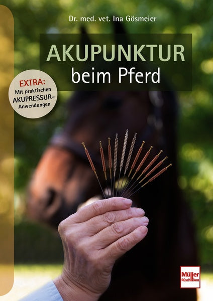 Akupunktur beim Pferd