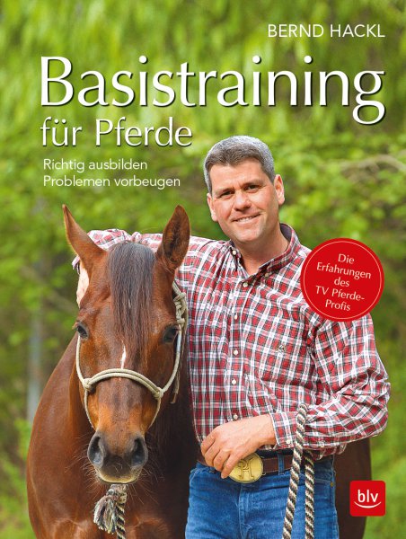 Basistraining für Pferde