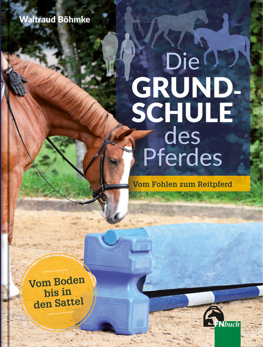 Die Grundschule des Pferdes