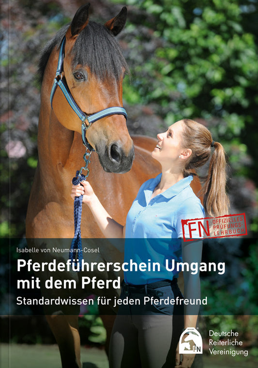 Pferdeführerschein Umgang mit dem Pferd