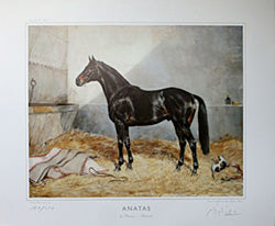 Anatas by Priamos-Anatevka