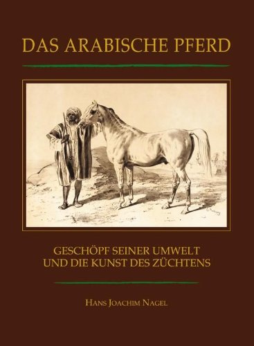 Das arabische Pferd