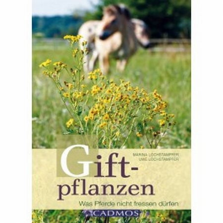 Giftpflanzen - Was Pferde nicht fressen dürfen