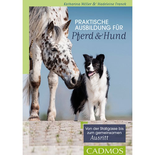 Praktische Ausbildung für Pferd und Hund